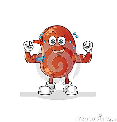 Kidney muscular cartoon. cartoon mascot vector Vector Illustration