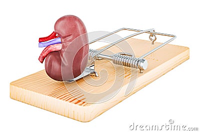 Kidney Pain concept. Human kidney inside mousetrap. 3D rendering Stock Photo