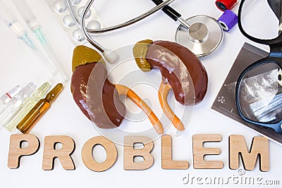 Kidney problems concept photo. 3D figure of kidney and adrenal is near word problem and set of medical equipment and medicines. Id Stock Photo