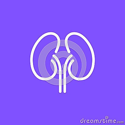 Kidney renal vector urology line icon. Outline disease kidney care clinic concept icon Vector Illustration