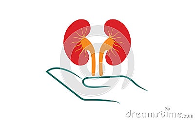 Kidney save Vector Illustration