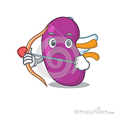 Kidney in sweet romantic cupid cartoon drawing with arrow Vector Illustration