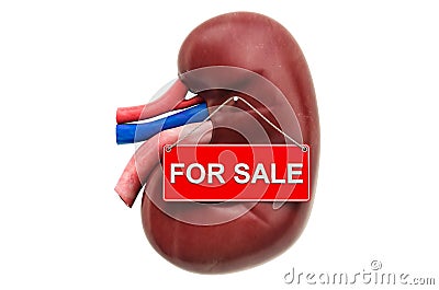 Kidney transplant or renal transplant concept. Kidney with For Sale hanging sign, 3D rendering Stock Photo