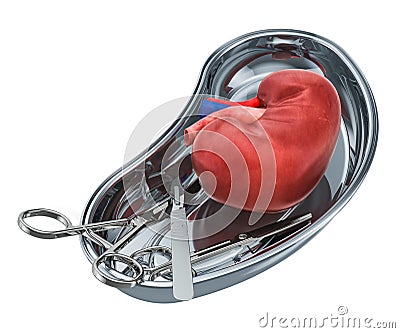 Kidney transplant surgery concept. Donor kidney in metallic tray Stock Photo