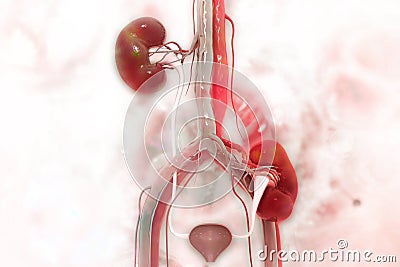 kidney transplantation on scientific background Cartoon Illustration