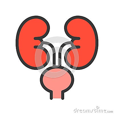 Kidney and urinary bladder, simple filled outline icon Vector Illustration