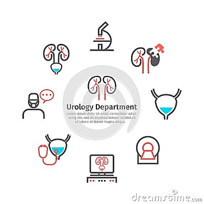 Kidney signs banner. Urology department. Line icons set. Vector symbols for web graphic. Vector Illustration