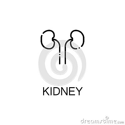 Kidneyflat icon or logo for web design. Vector Illustration