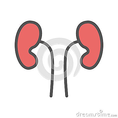 Kidneys color icon. Isolated vector illustration on white background. Vector Illustration