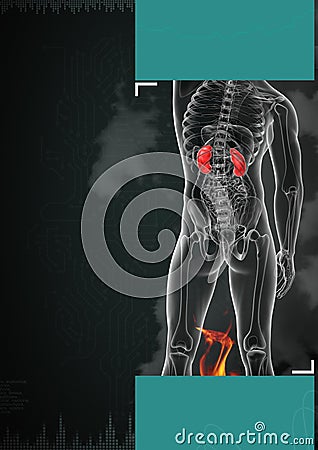 Kidneys Cartoon Illustration