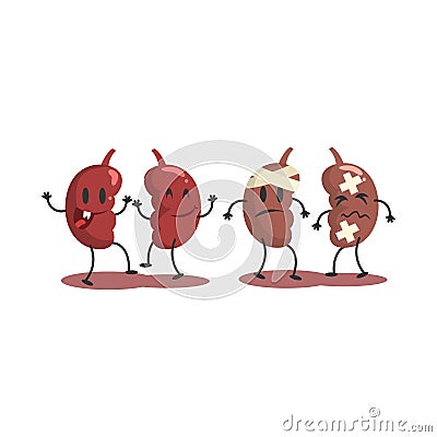 Kidneys Human Internal Organ Healthy Vs Unhealthy, Medical Anatomic Funny Cartoon Character Pair In Comparison Happy Vector Illustration