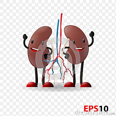 Kidneys. Human internal organ characters Vector Illustration