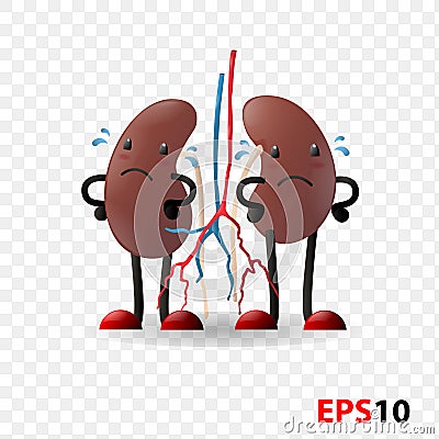 Kidneys. Human internal organ characters Vector Illustration