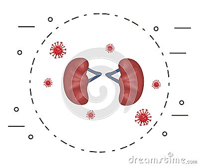 Kidneys human organ with bacteriums Vector Illustration