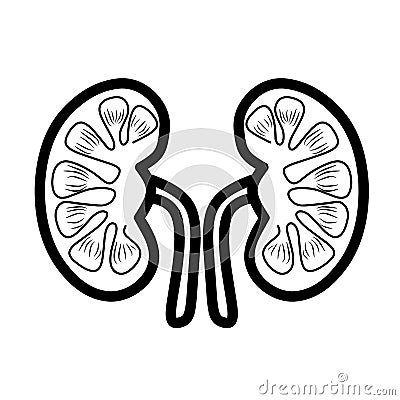 Kidneys Icon. kidney care. Human Organ Kidney Icon Stock Photo