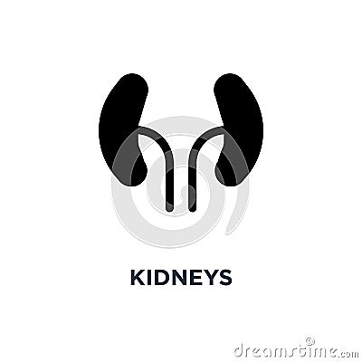 Kidneys icon. Simple element illustration. Kidneys concept symbo Vector Illustration