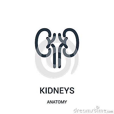 kidneys icon vector from anatomy collection. Thin line kidneys outline icon vector illustration. Linear symbol for use on web and Vector Illustration