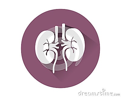 Kidneys icon vector.Human internal organ Vector Illustration