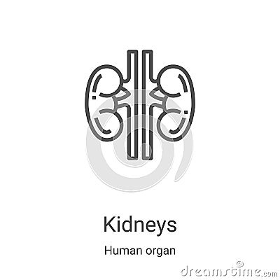 kidneys icon vector from human organ collection. Thin line kidneys outline icon vector illustration. Linear symbol for use on web Vector Illustration