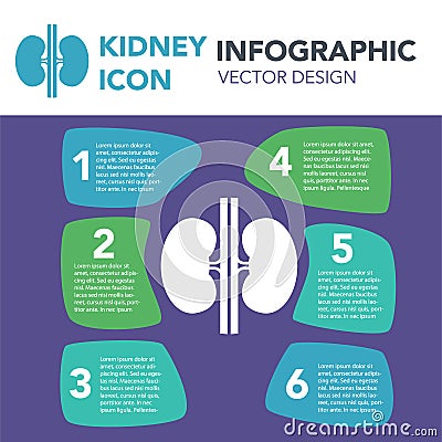 Kidneys organ illustration infographic icon simple vector concept Vector Illustration