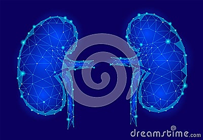 Kidneys internal organ men 3d low poly geometric model. Vector Illustration