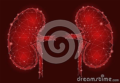 Kidneys internal organ men 3d low poly geometric model. Vector Illustration