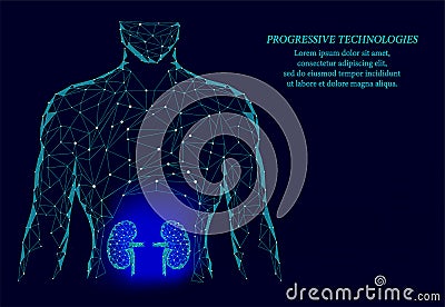 Kidneys internal organ men silhouette 3d geometric model. Urology system medicine treatment. Future science technology.Blue Vector Illustration