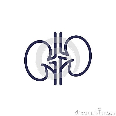 kidneys, nephrology line icon, vector Vector Illustration