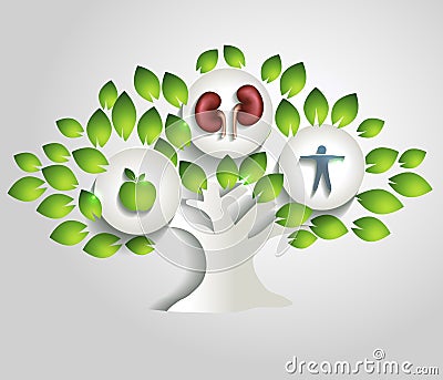 Kidneys and tree, healthy lifestyle concept Vector Illustration