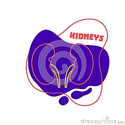 Kidneys urinary system body organ outline icon Vector Illustration