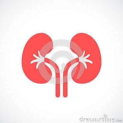 Kidneys vector icon Vector Illustration