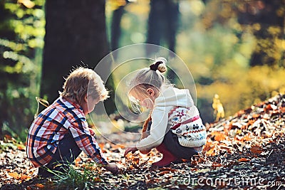 Kids activity and active rest. Children pick acorns from oak trees. Brother and sister camping in autumn forest. Little Stock Photo