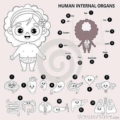 Kids anatomy human body. Cute girl and visual scheme internal female organs. Funny characters, names and locations Vector Illustration