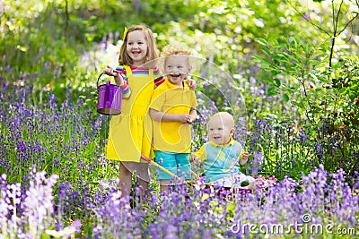 Kids in bluebell flower forest in summer Stock Photo