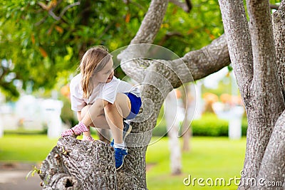 Kids climb tree in summer park. Child climbing Stock Photo