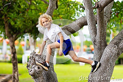 Kids climb tree in summer park. Child climbing Stock Photo