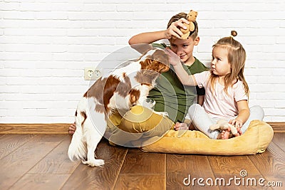 Kids with dog indoor. Teen boy and little girl playing their puppy at home. Happy brother and sister playing their funny Stock Photo