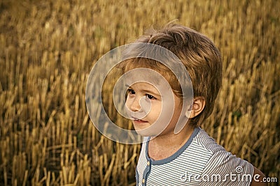 Kids enyoj happy day. Little boy with cute face, blond hair on cut grass Stock Photo