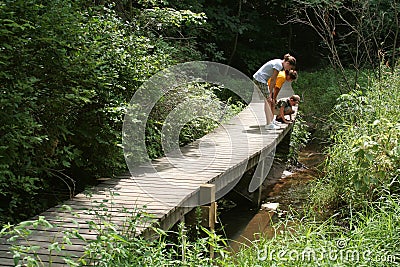 Kids Exploring Nature Trail Stock Photo