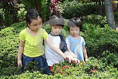 Kids at the garden Stock Photo