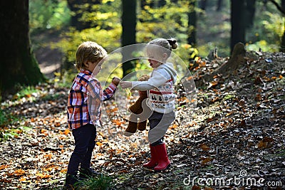 Kids harvest grass in autumn forest. Brother and sister play on fresh air. Small boy and girl friends have fun in woods Stock Photo