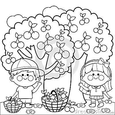 Children under a cherry tree picking cherries. Vector black and white coloring page. Vector Illustration