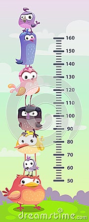 Kids height chart. Wall metter with funny cartoon birds. Vector Illustration