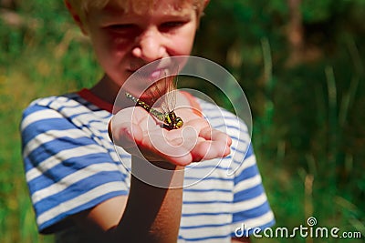Kids learning insects - little boy holding dragonfly Stock Photo