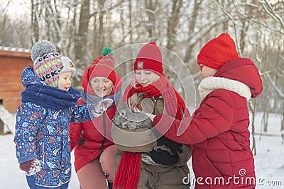 Kids and mom feed to keep the rabbit in the zoo and have fun Stock Photo