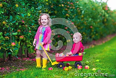 Kids picking apple on a farm Stock Photo