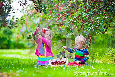 Kids picking cherry on a fruit farm garden Stock Photo