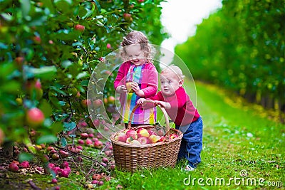 Kids picking fresh apple on a farm Stock Photo