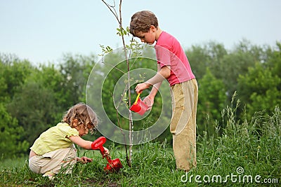 Kids plant the tree Stock Photo