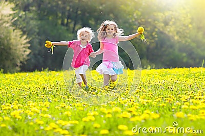 Kids play. Child in dandelion field. Summer flower Stock Photo